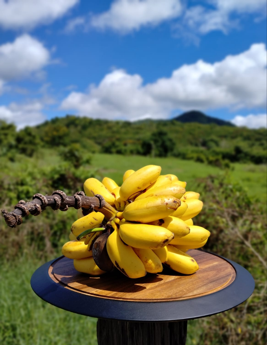 Mermelada de Guineo (Banana) – Del Palo Al Pote