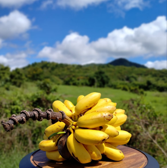 Mermelada de Guineo (Banana) – Del Palo Al Pote