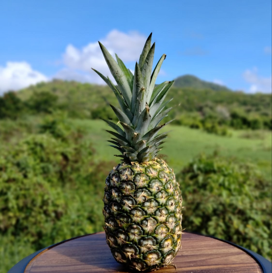 Mermelada de Piña (Pineapple) – Del Palo Al Pote