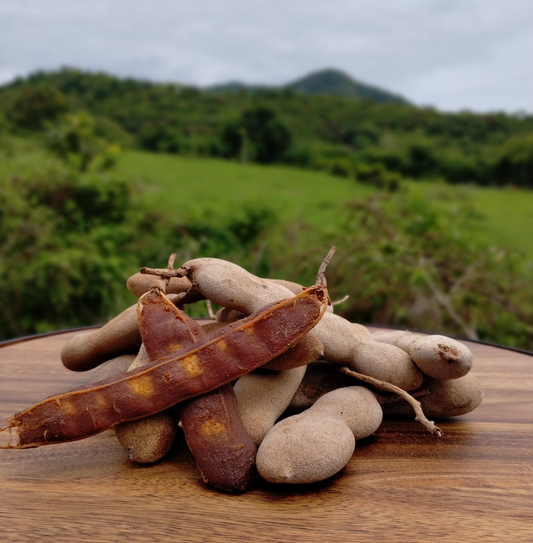 Tamarind Jam (Tamarindo) – Del Palo Al Pote