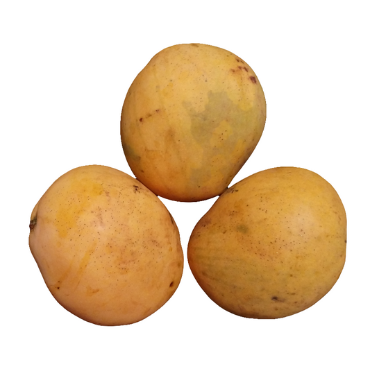 Mermelada de Mangó (Mango) – Del Palo Al Pote