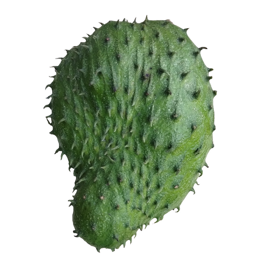 Soursop Jam (Guanábana) – Del Palo Al Pote