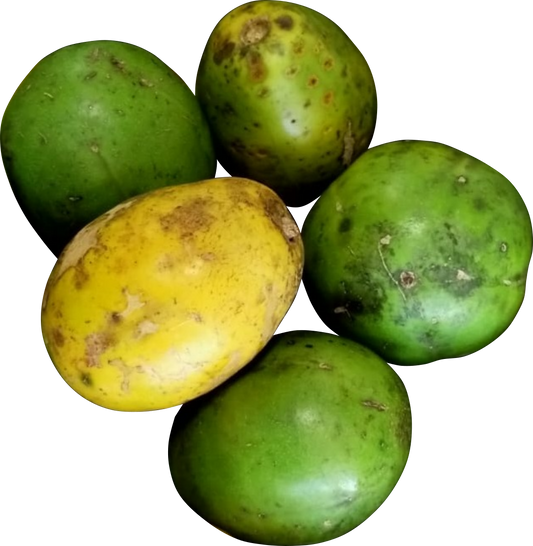 Mermelada de Jobos (Spanish Plum) – Del Palo Al Pote