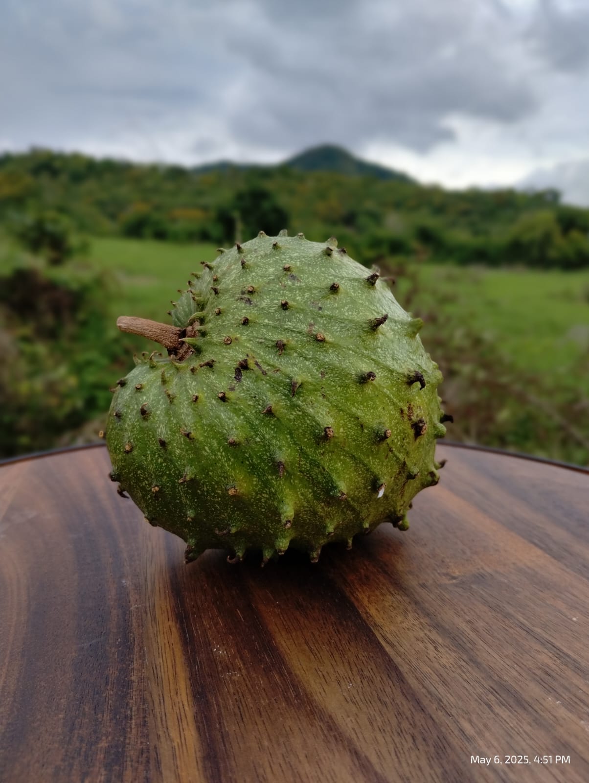 Mermelada de Guanábana (Soursop) – Del Palo Al Pote
