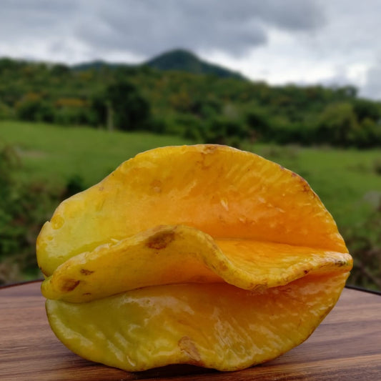 Mermelada de Carambola (Starfruit) – Del Palo Al Pote