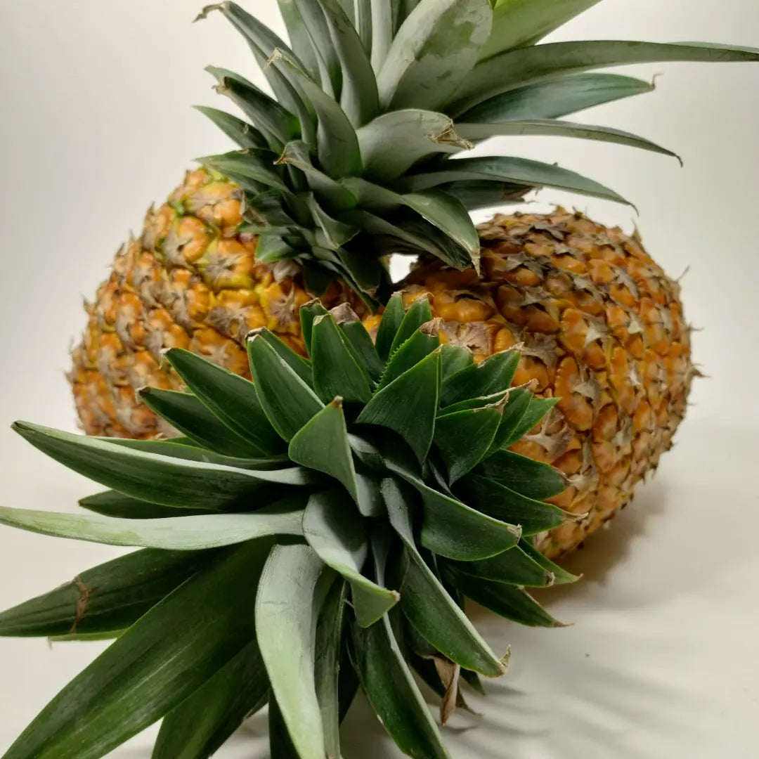 Mermelada de Piña (Pineapple) – Del Palo Al Pote