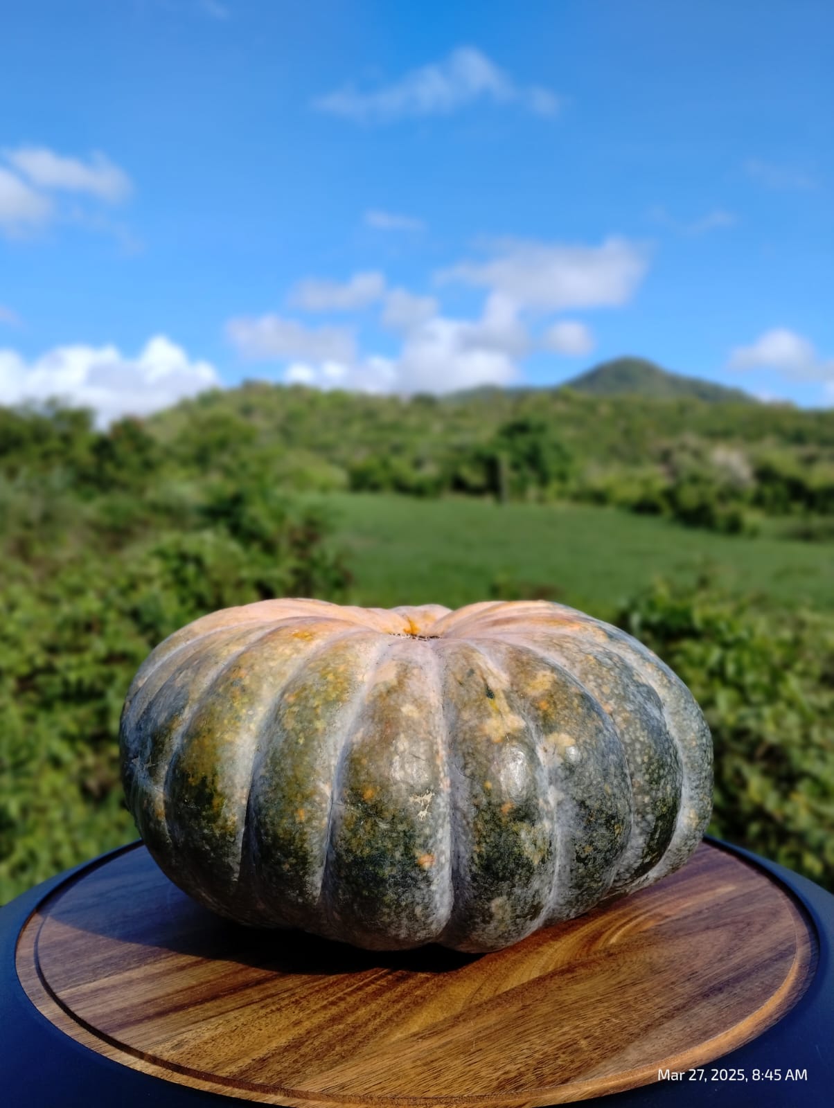 Mermelada de Calabaza (Pumpkin) – Del Palo Al Pote