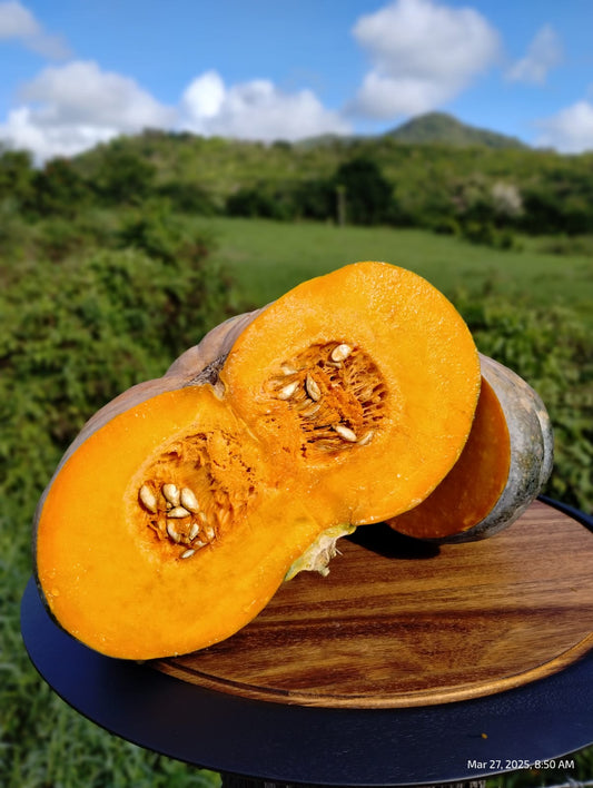 Mermelada de Calabaza (Pumpkin) – Del Palo Al Pote