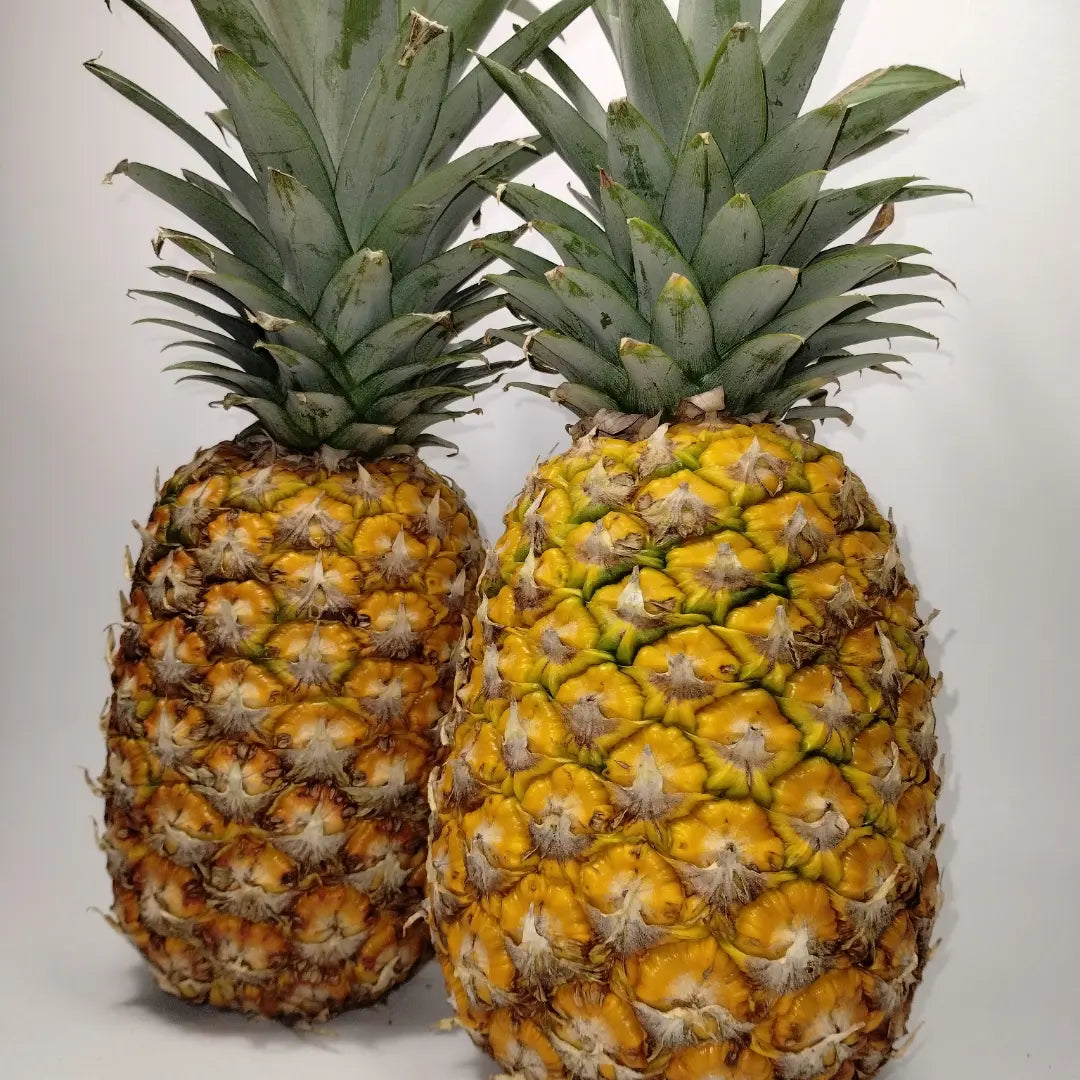 Mermelada de Piña (Pineapple) – Del Palo Al Pote