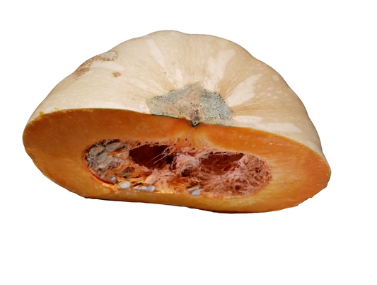 Mermelada de Calabaza (Pumpkin)