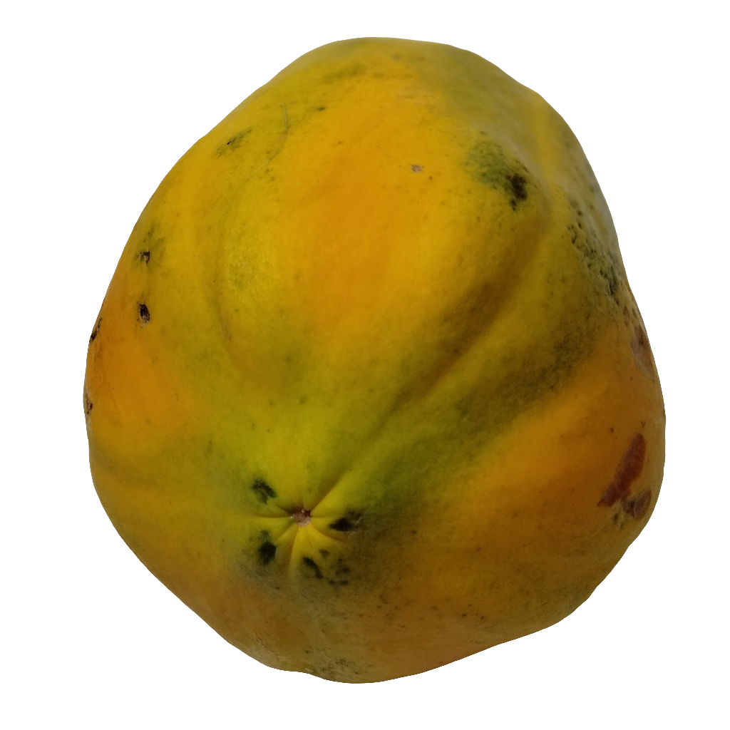 Mermelada de Lechosa (Papaya)