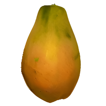 Mermelada de Lechosa (Papaya)