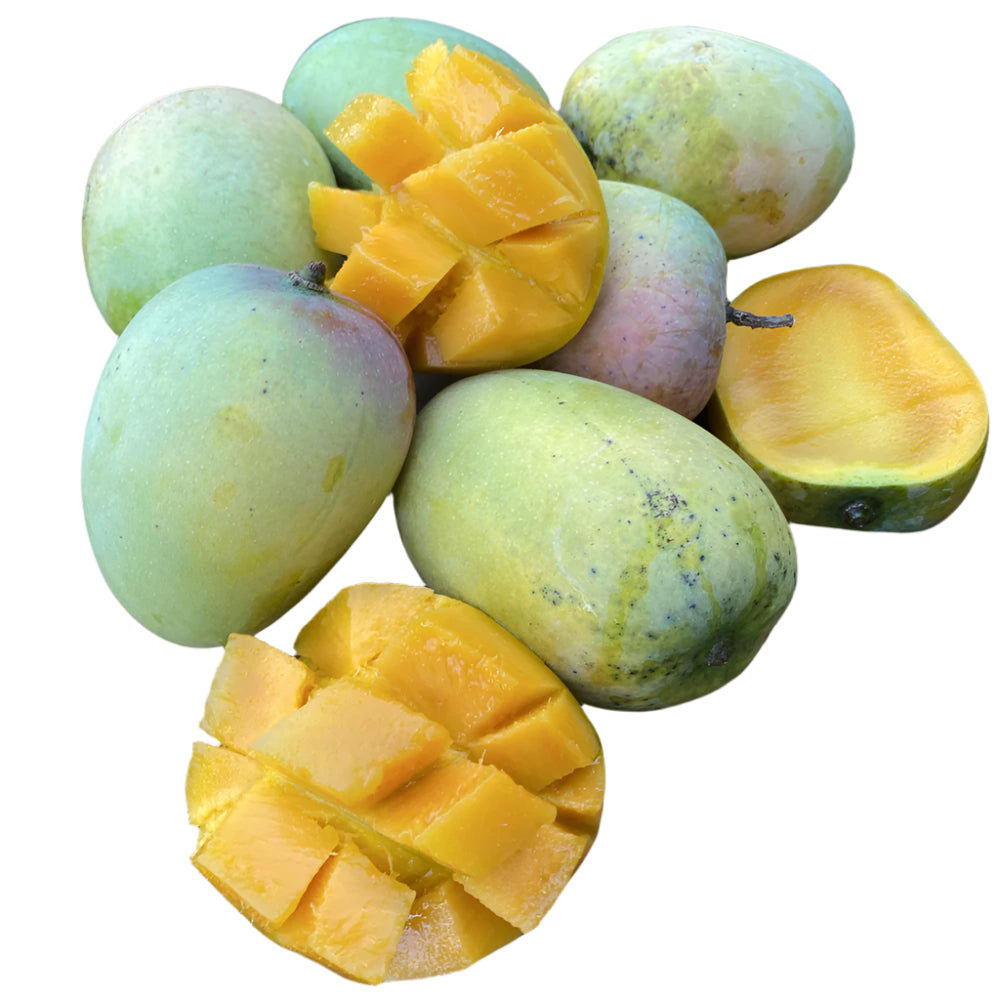 Mermelada de Mangó (Mango)