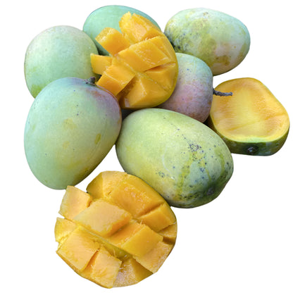 Mermelada de Mangó (Mango)