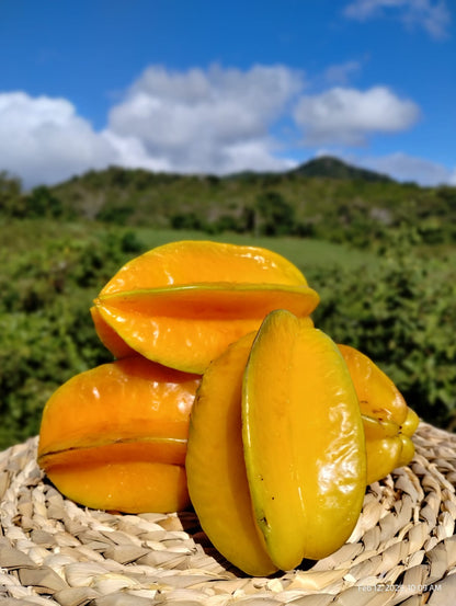 Mermelada de Carambola (Star fruit)