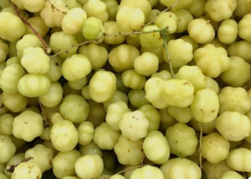 Mermelada de Grosellas (Otaheite gooseberry)