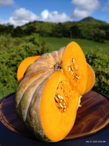 Mermelada de Calabaza (Pumpkin)