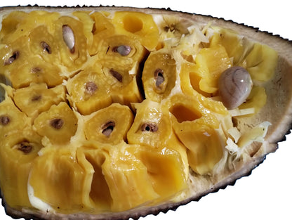 Mermelada de Jackfruit – Del Palo Al Pote