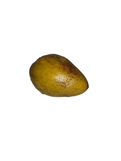 Mermelada de Canistel (Eggfruit) – Del Palo Al Pote