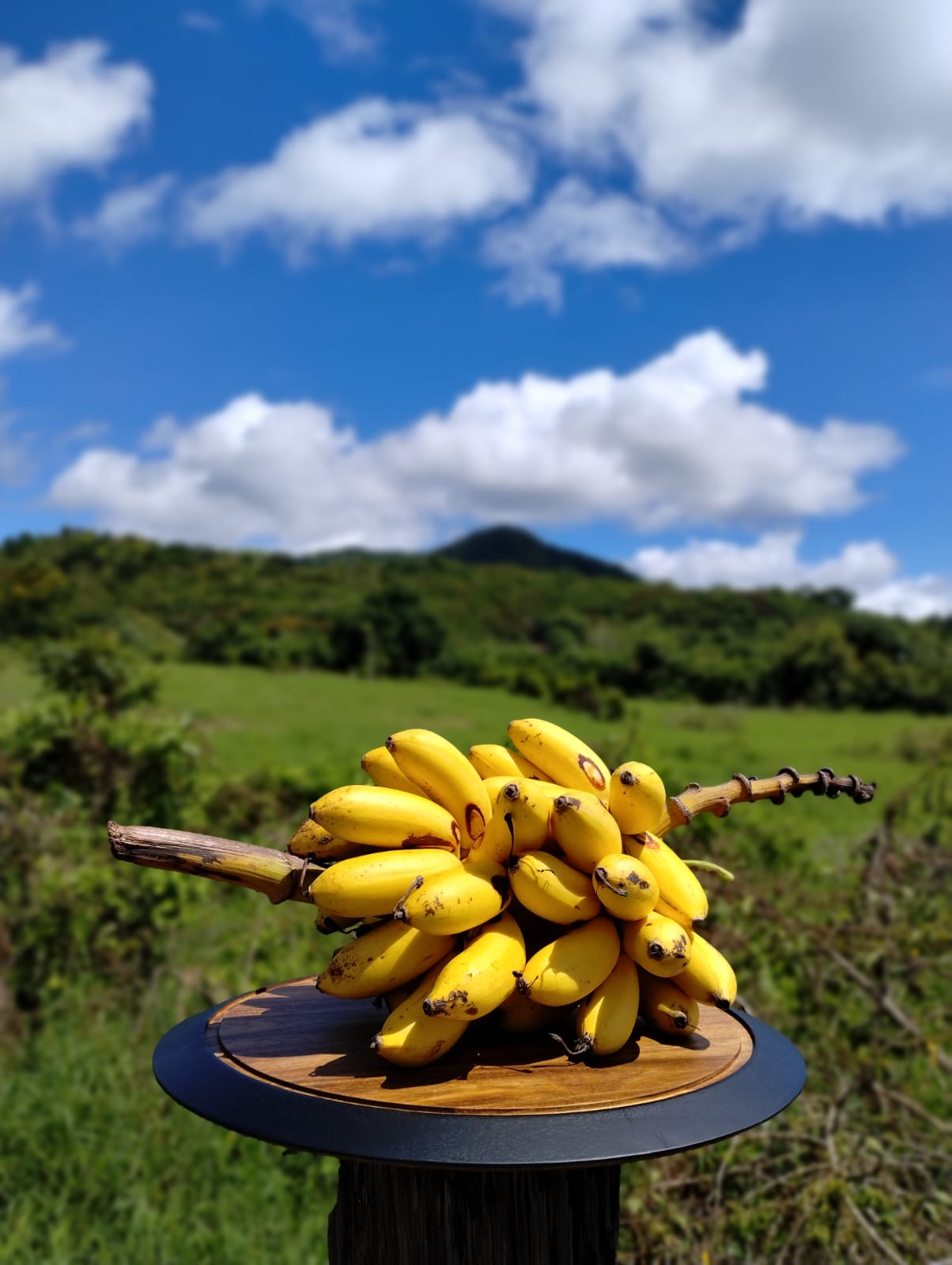Mermelada de Guineo (Banana)