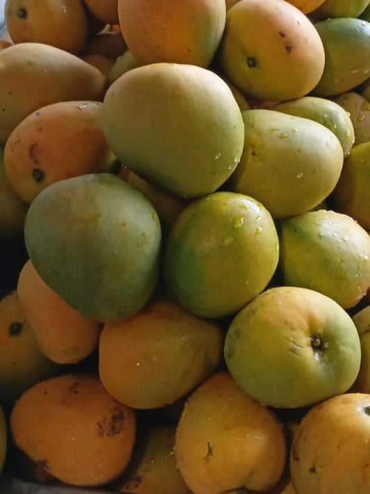 Mango Jam (Mangó) – Del Palo Al Pote