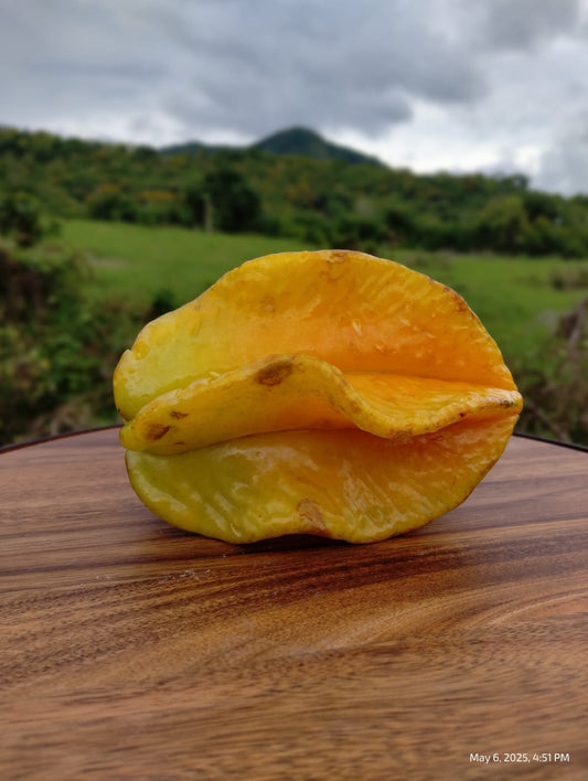 Mermelada de Carambola (Star fruit)