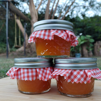 Mermelada de Lechosa (Papaya)