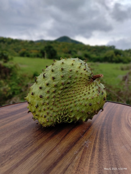 Mermelada de Guanábana (Soursop)