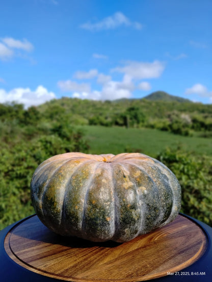 Mermelada de Calabaza (Pumpkin)