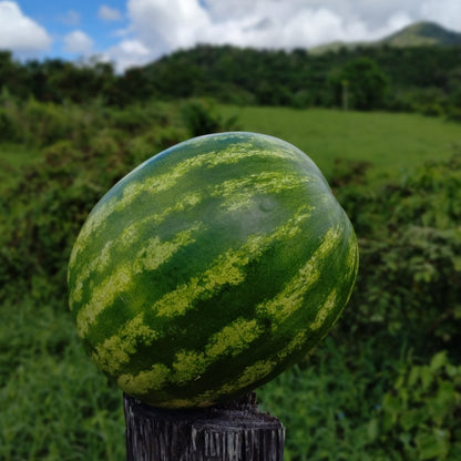 Mermelada de Melón de Agua (Watermelon)